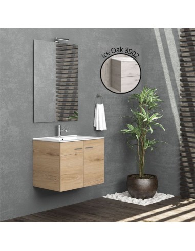 Ensemble Meuble suspendu 2 portes + Vasque -...